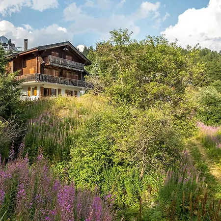 Apartament Sunnenstrahl Eg Bettmeralp