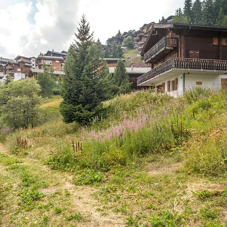 Sunnenstrahl Eg Bettmeralp